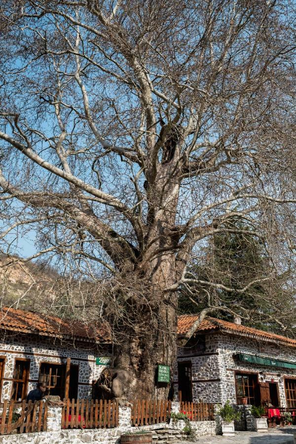 Комплекс Стария Чинар Melnik (Blagoevgrad) Esterno foto